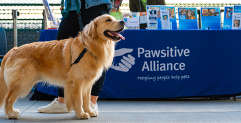 HICC Pet® Joins Forces with Pawsitive Alliance to Combat Pet Overpopulation in Washington State