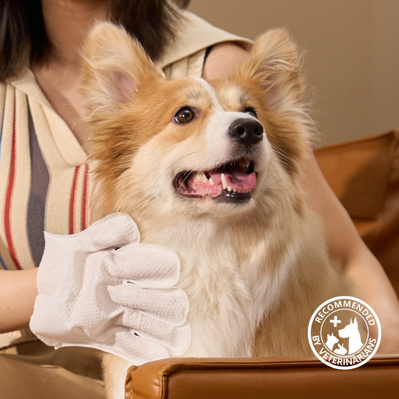 HICC Pet® Deodorizing Pet Glove Wipes For Dogs & Cats, 20 Pcs