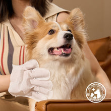 HICC Pet® Deodorizing Pet Glove Wipes For Dogs & Cats, 20 Pcs