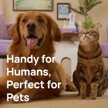 HICC Pet® 2X Power Pet Wound & Antimicrobial Spray For Dogs & Cats, 296ml