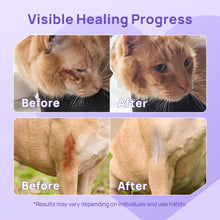 HICC Pet® Pet Wound & Skin Care Antimicrobial Hydro Gel For Dogs & Cats