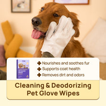 HICC Pet® Hypoallergenic Pet Glove Wipes For Dogs & Cats, 6 Pcs