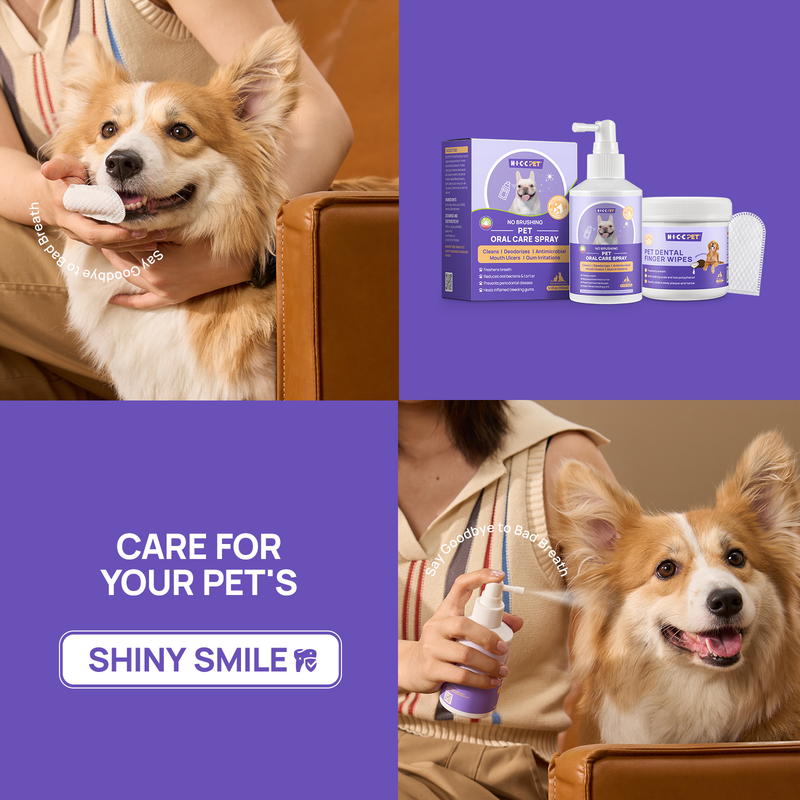 HICC PET® Dental Care Kit