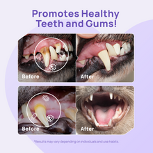 HICC PET® Dental Care Kit