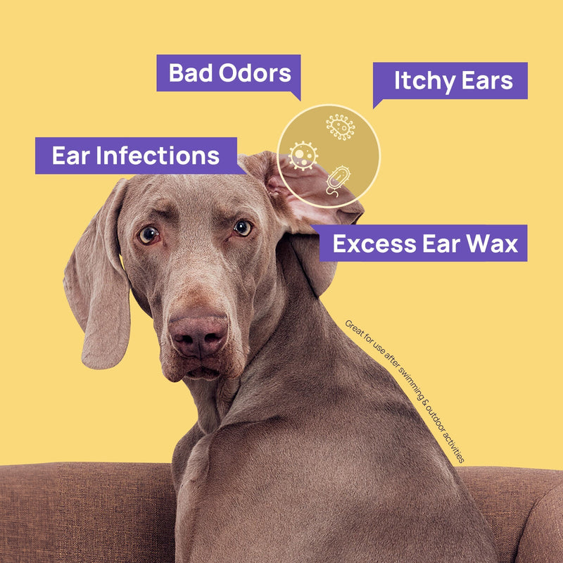 HICC Pet® Ear Care Kit