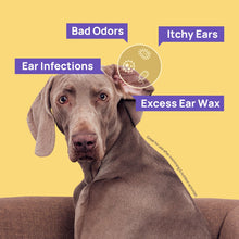 HICC Pet® Ear Care Kit