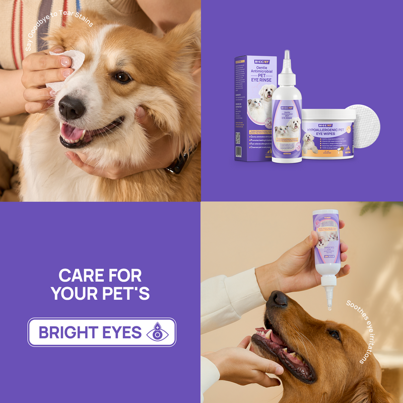 HICC PET® 2-Step Eye Care Kit