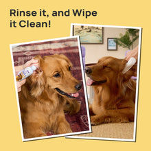 HICC Pet® Ear Care Kit