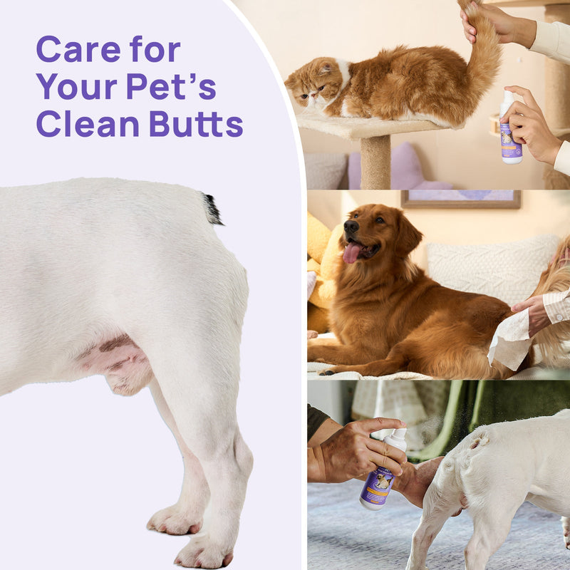 HICC PET® Anal Gland Care Kit