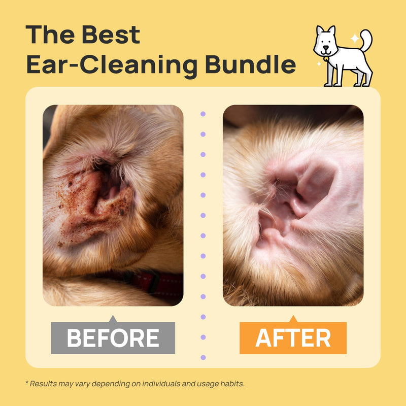 HICC Pet® Ear Care Kit