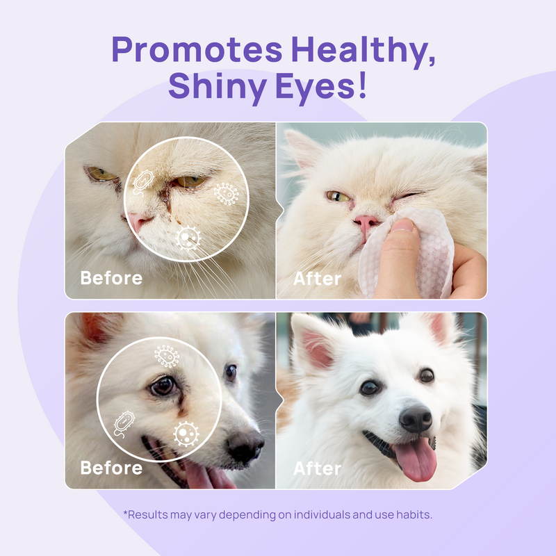 HICC PET® 2-Step Eye Care Kit