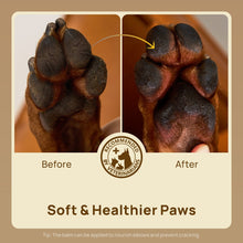 HICC Pet® Paw Balm Butter For Dogs & Cats