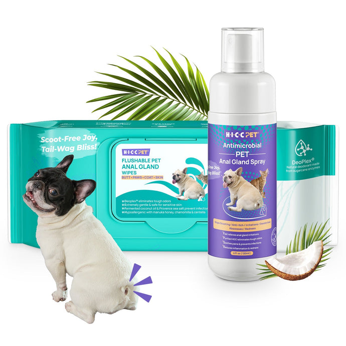 HICC PET® Anal Gland Care Kit