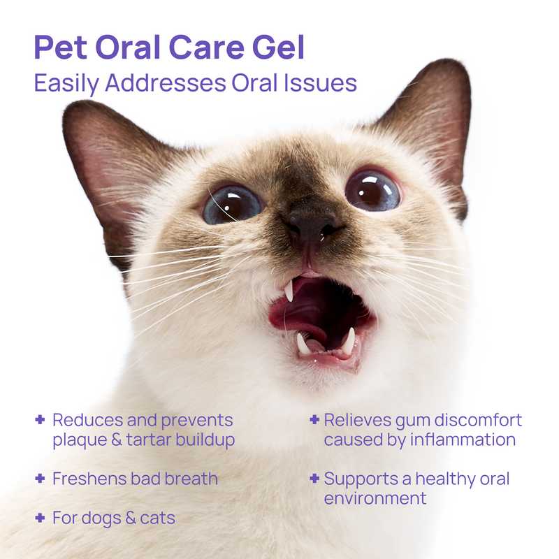 HICC Pet® Antimicrobial Pet Oral Care Gel
