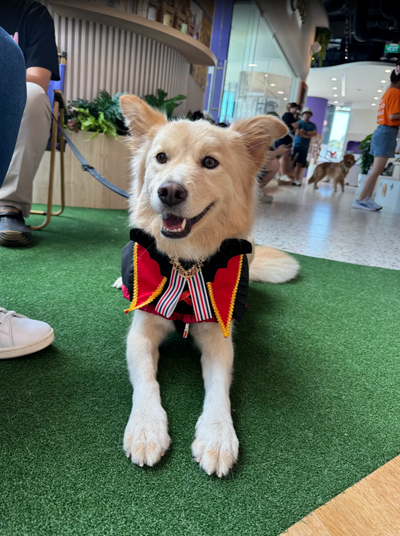 Cassandra Lim review image