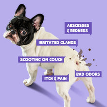 HICC Pet® Antimicrobial Pet Anal Gland Spray, 120ml