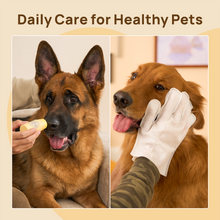HICC Pet® Nose Care Kit