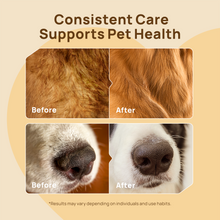 HICC Pet® Nose Care Kit