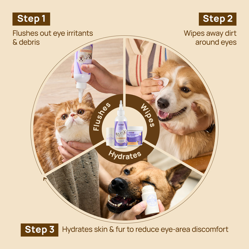 HICC Pet® 3-Step Eye Care Kit