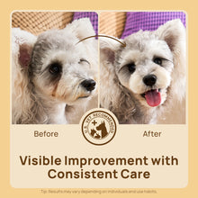 HICC Pet® 3-Step Eye Care Kit