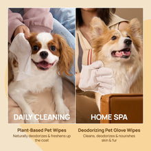 HICC Pet® Skin Shield Kit