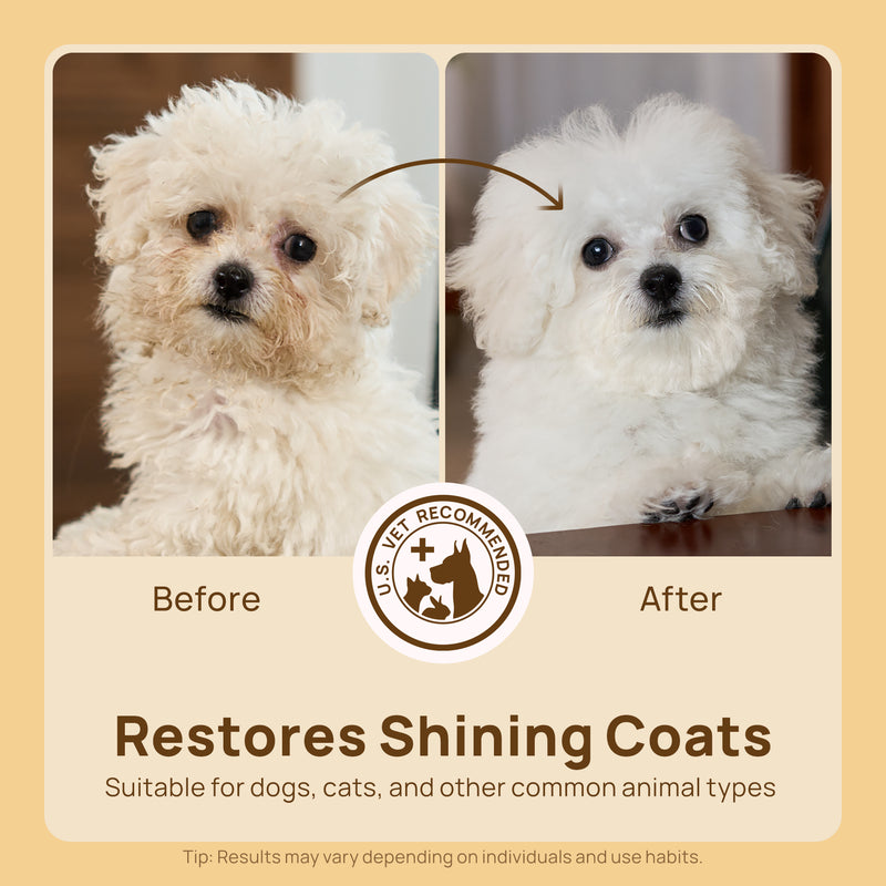 HICC Pet® Skin Shield Kit