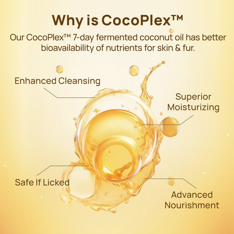 HICC Pet® Pet Ear Relief Finger Wipes For Dogs & Cats, 50 Pcs