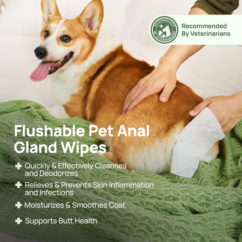 HICC Pet® Flushable Pet Anal Gland Wipes For Dogs & Cats