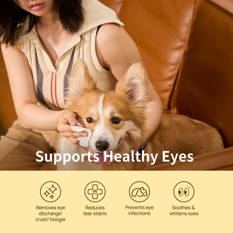 HICC Pet®  Hypoallergenic Pet Eye Wipes For Dogs & Cats, 100 Pads