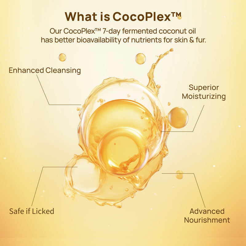 HICC Pet®  Hypoallergenic Pet Eye Wipes For Dogs & Cats, 100 Pads