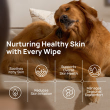 HICC Pet® Itch Relief Skin Soothing Wipes For Dogs & Cats