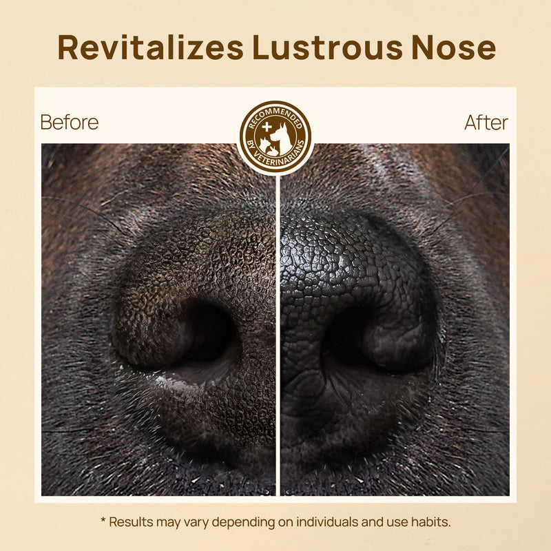 HICC Pet® Nose Balm Butter For Dogs & Cats