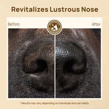 HICC Pet® Nose Balm Butter For Dogs & Cats