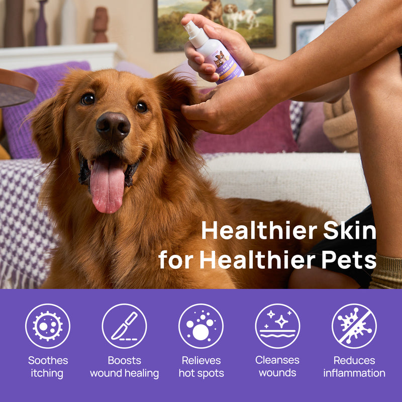 HICC Pet® Pet Skin Care Spray For Dogs & Cats, 100ml