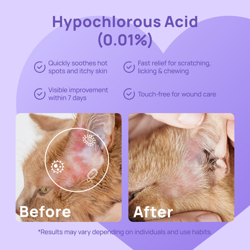 HICC Pet® Pet Skin Care Spray For Dogs & Cats, 100ml