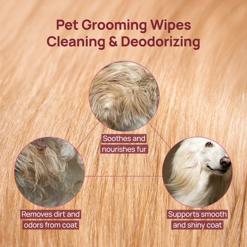 HICC Pet® Plant-Based Pet Wipes For Dogs & Cats, Damask Rose Scent