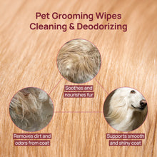 HICC Pet® Plant-Based Pet Wipes For Dogs & Cats, Damask Rose Scent