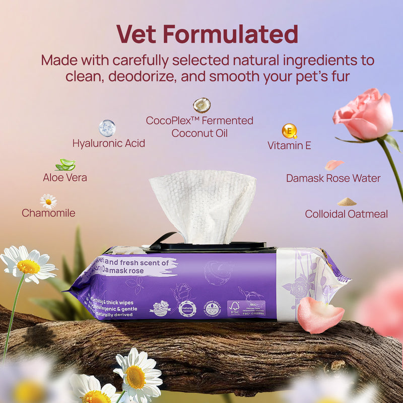 HICC Pet® Plant-Based Pet Wipes For Dogs & Cats, Damask Rose Scent