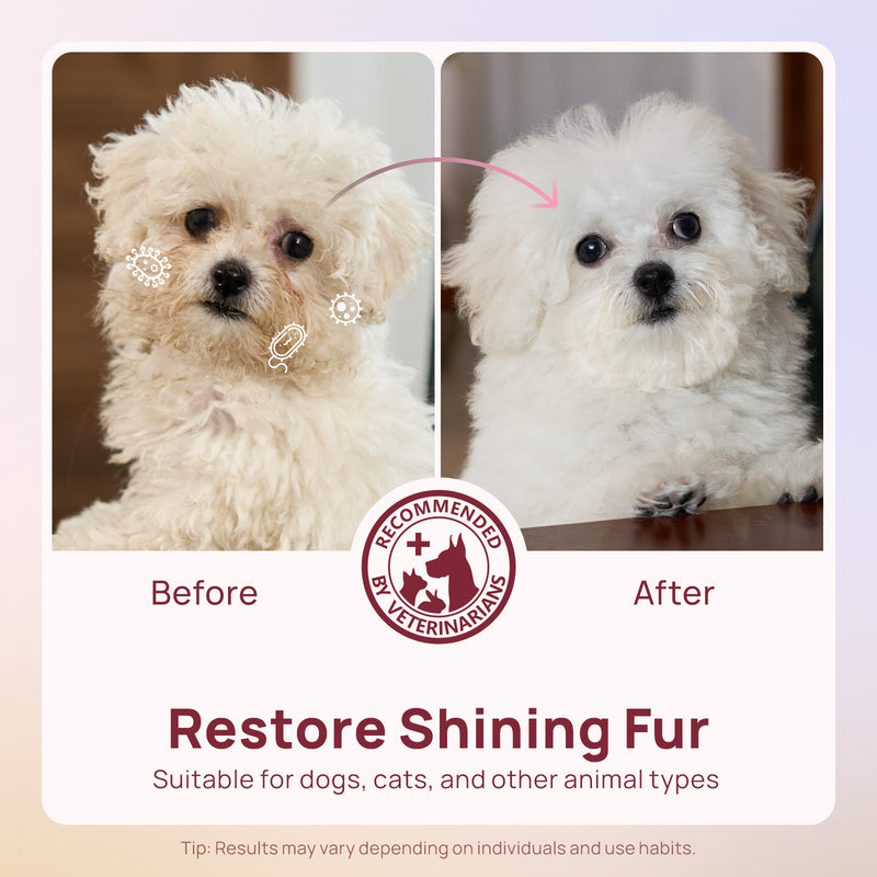 HICC Pet® Plant-Based Pet Wipes For Dogs & Cats, Damask Rose Scent