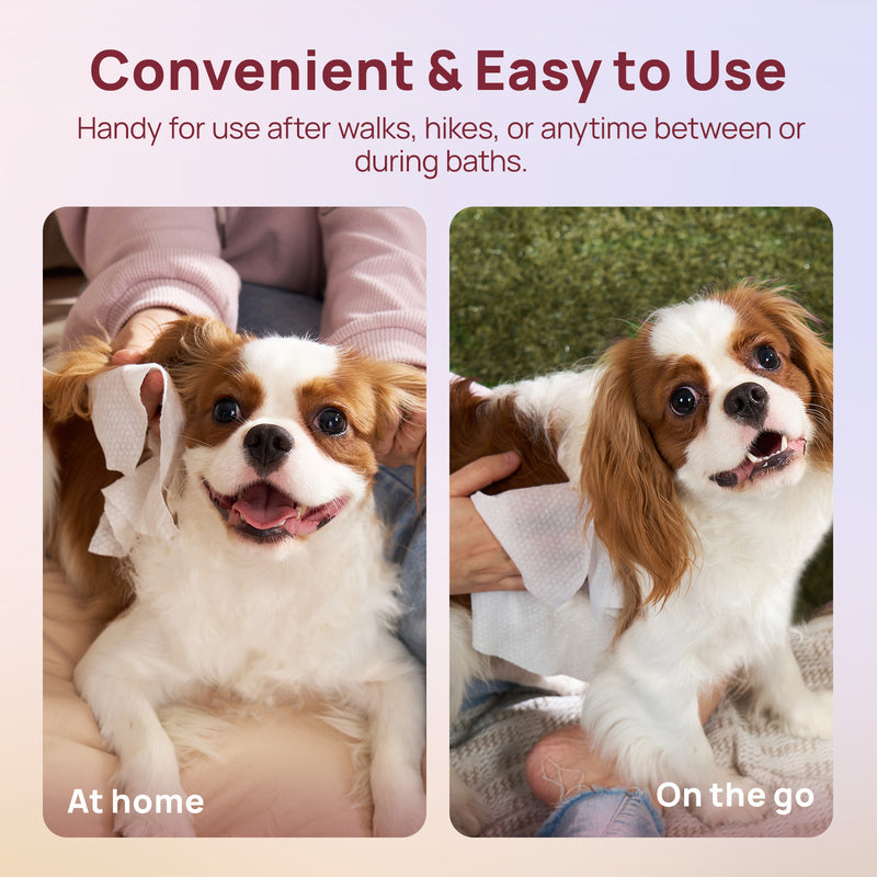 HICC Pet® Plant-Based Pet Wipes For Dogs & Cats, Damask Rose Scent