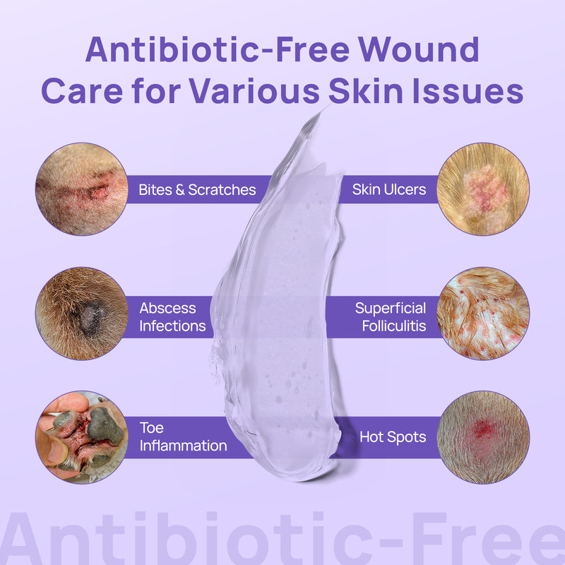 HICC Pet® Pet Wound & Skin Care Antimicrobial Hydro Gel For Dogs & Cats