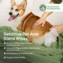 HICC Pet® Portable Sensitive Pet Anal Gland Wipes For Dogs & Cats, 20 Pcs, 6 Packs