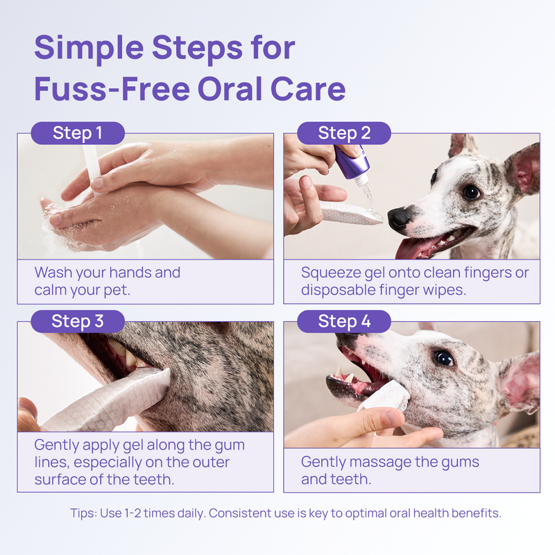 HICC Pet® Antimicrobial Pet Oral Care Gel