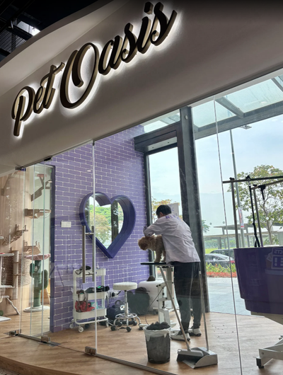 Tina Lin review image