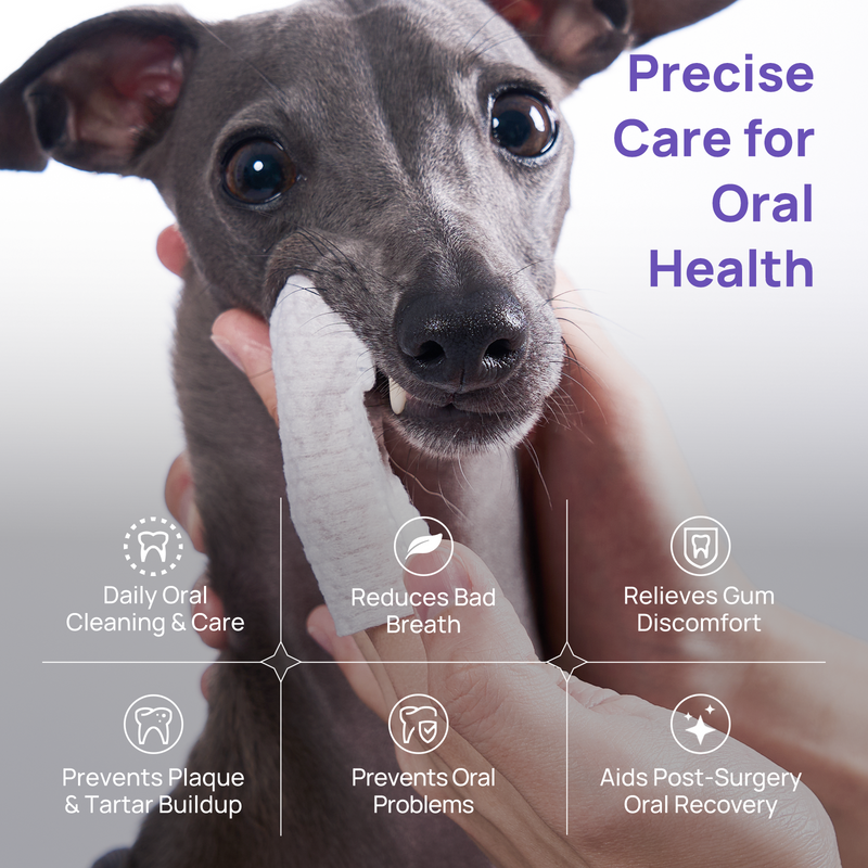 HICC Pet® Antimicrobial Pet Oral Care Gel