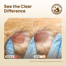 HICC Pet® Itch Relief Skin Soothing Wipes For Dogs & Cats