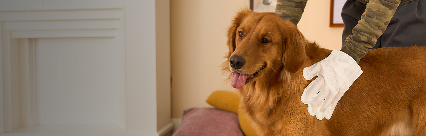 Pet Care Single Items