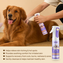 HICC Pet® Itch Relief Kit