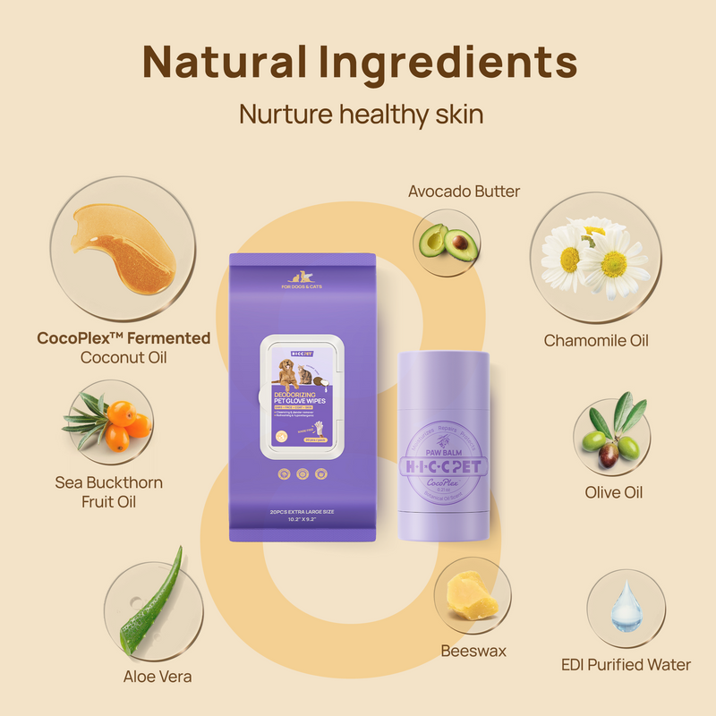 HICC PET Paw Care Kit