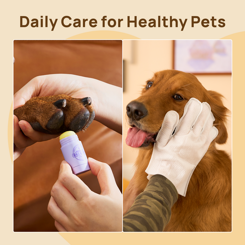 HICC PET Paw Care Kit